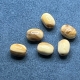 6 Acrylperlen
