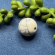 1 Acrylperle 18mm creme