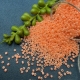 40gr. Rocailles lachs