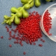 5gr. Rocailles 2mm  rot