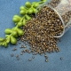 40gr. Rocailles braun