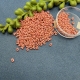20gr. Farfalle Beads klein