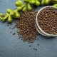 20gr.  Rocailles bronze