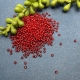 10gr. Rocailles rot 2,6mm