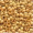 100 Quetschperlen Schmelz glatt mattgold 2,07mm