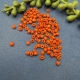 20gr. Rocailles 4mm orange