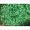 10 Holzperlen Holzoliven 16x8mm grün