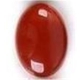 1 Cabochon Halbedelsteine 20x30mm oval