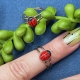 1 Kinderfingerring Marienkäfer platin