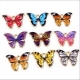 1 Anhänger Schmetterling