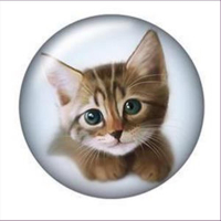 1 Cabochon rund 18mm Katzen D