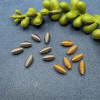 10 Spiralen Zwischenteile Zierteile vergoldet