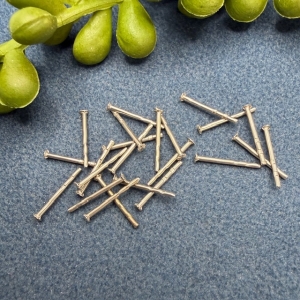 10 Ohrstecker mit kleiner Platte Sternchen echt Silber...