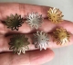 10 Perlkappen Blumenform 18mm silberfarbig platin