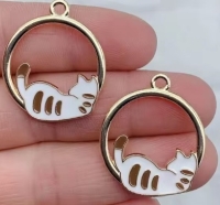 2 Anhänger liegende Katze liegend mit Blick nach vorne